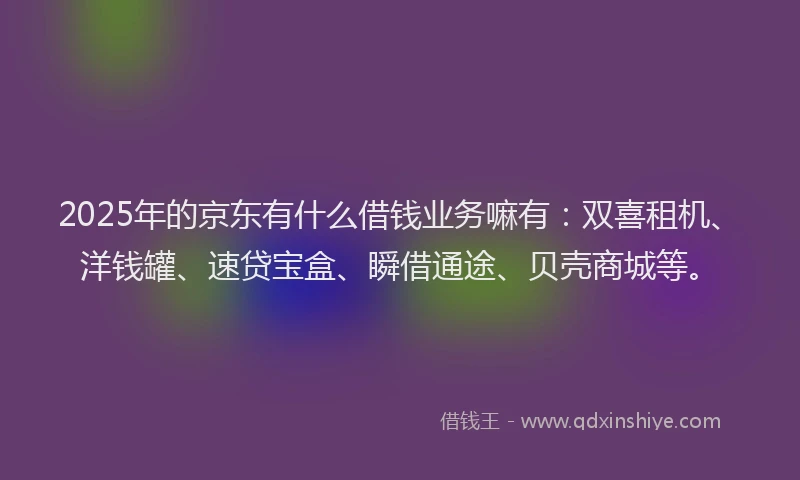 2025年的京东有什么借钱业务嘛有：双喜租机、洋钱罐、速贷宝盒、瞬借通途、贝壳商城等。