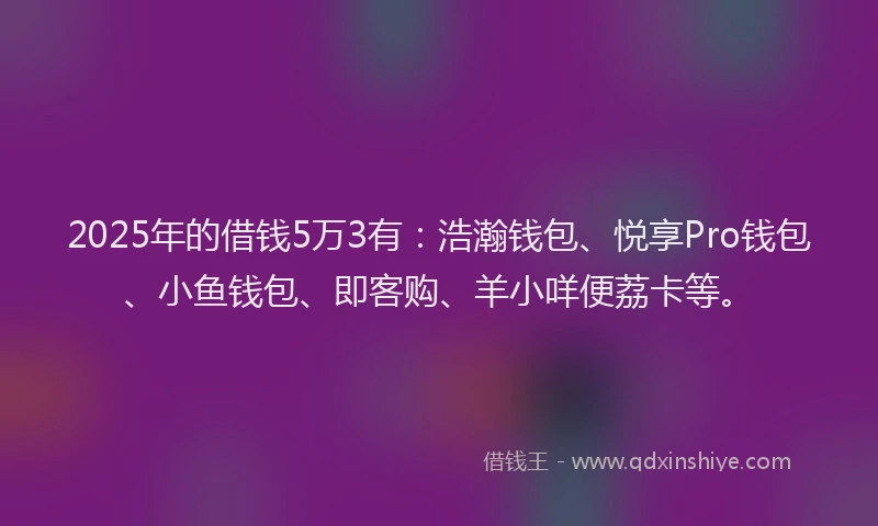 2025年的借钱5万3有：浩瀚钱包、悦享Pro钱包、小鱼钱包、即客购、羊小咩便荔卡等。
