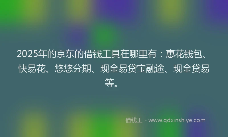 2025年的京东的借钱工具在哪里有：惠花钱包、快易花、悠悠分期、现金易贷宝融途、现金贷易等。