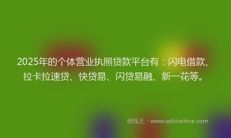 2025年的个体营业执照贷款平台有：闪电借款、拉卡拉速贷、快贷易、闪贷易融、新一花等。