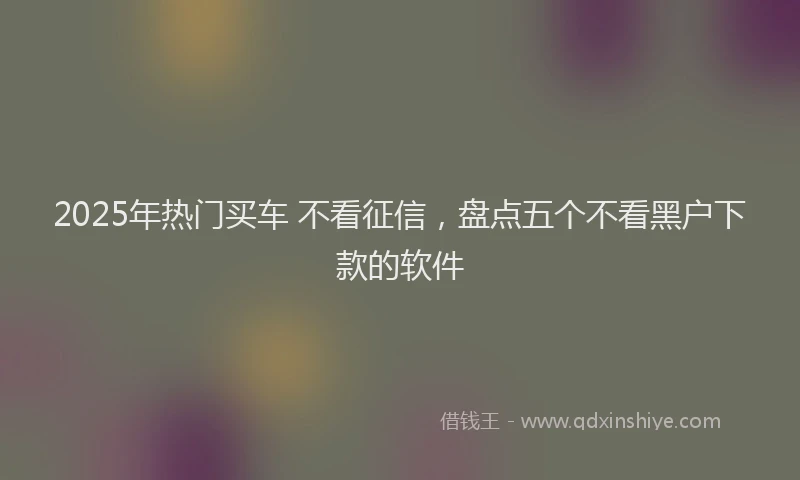 2025年热门买车 不看征信，盘点五个不看黑户下款的软件