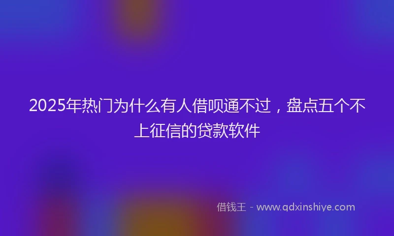 2025年热门为什么有人借呗通不过，盘点五个不上征信的贷款软件