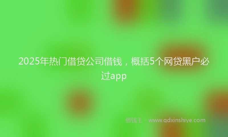 2025年热门借贷公司借钱，概括5个网贷黑户必过app
