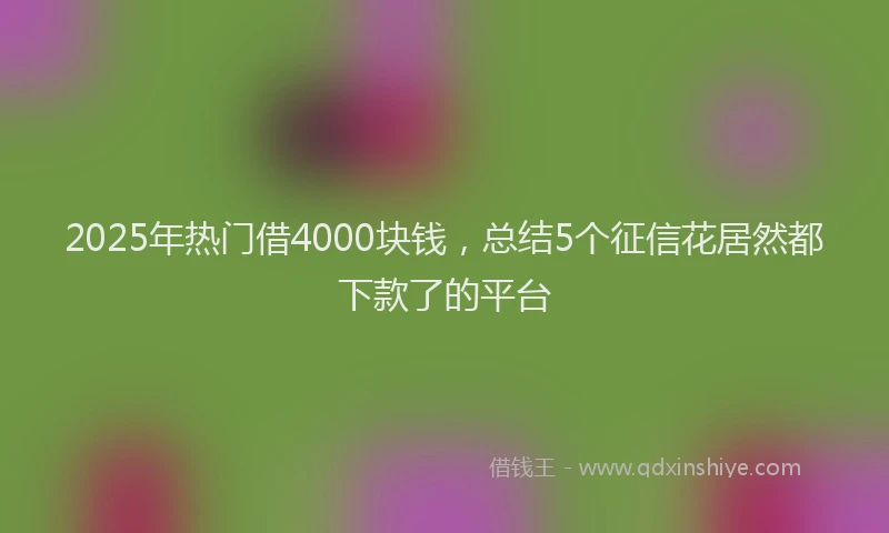 2025年热门借4000块钱，总结5个征信花居然都下款了的平台