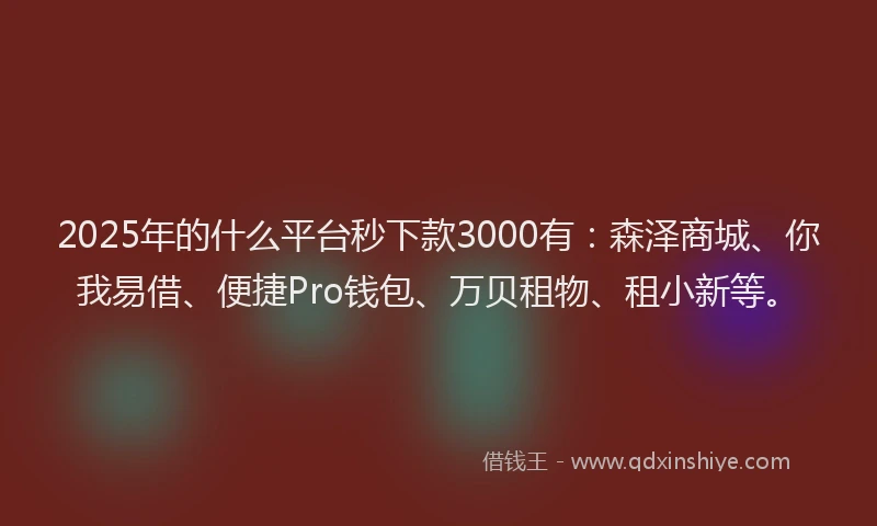 2025年的什么平台秒下款3000有：森泽商城、你我易借、便捷Pro钱包、万贝租物、租小新等。