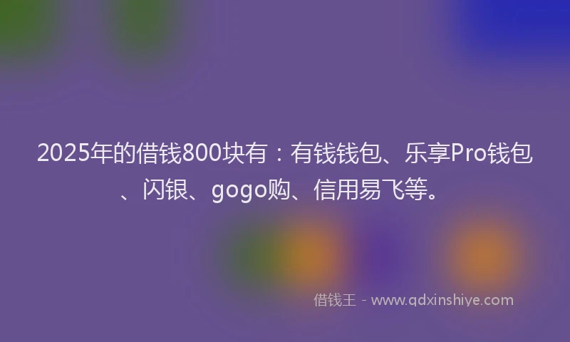 2025年的借钱800块有：有钱钱包、乐享Pro钱包、闪银、gogo购、信用易飞等。