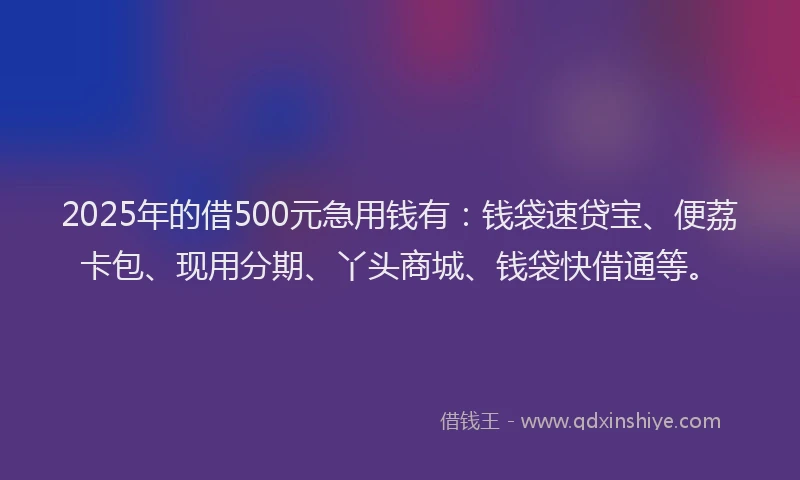2025年的借500元急用钱有：钱袋速贷宝、便荔卡包、现用分期、丫头商城、钱袋快借通等。
