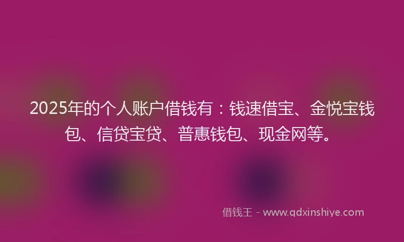 2025年的个人账户借钱有：钱速借宝、金悦宝钱包、信贷宝贷、普惠钱包、现金网等。