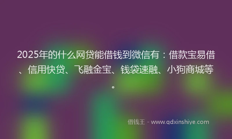2025年的什么网贷能借钱到微信有：借款宝易借、信用快贷、飞融金宝、钱袋速融、小狗商城等。