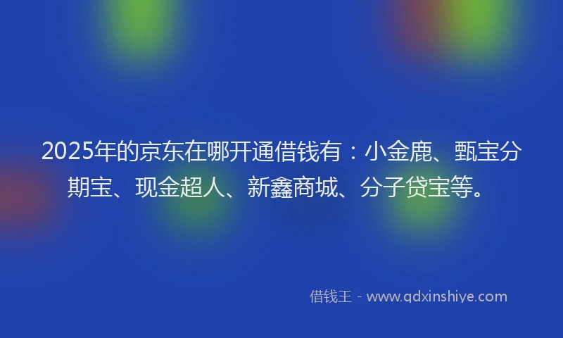 2025年的京东在哪开通借钱有：小金鹿、甄宝分期宝、现金超人、新鑫商城、分子贷宝等。