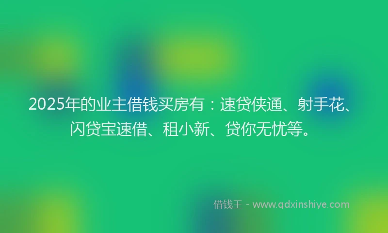 2025年的业主借钱买房有:速贷侠通、射手花、闪贷宝速借、租小新、贷你无忧等。