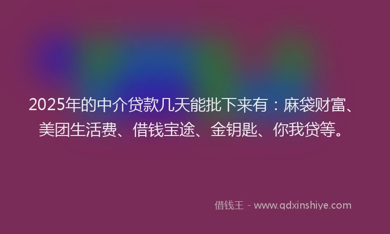2025年的中介贷款几天能批下来有：麻袋财富、美团生活费、借钱宝途、金钥匙、你我贷等。