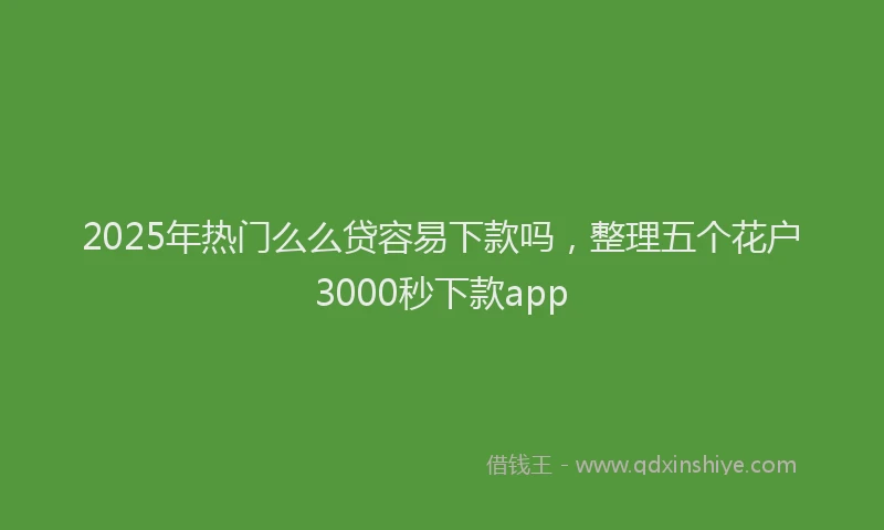 2025年热门么么贷容易下款吗，整理五个花户3000秒下款app