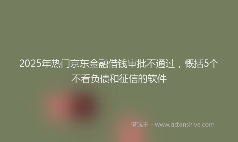 2025年热门京东金融借钱审批不通过，概括5个不看负债和征信的软件
