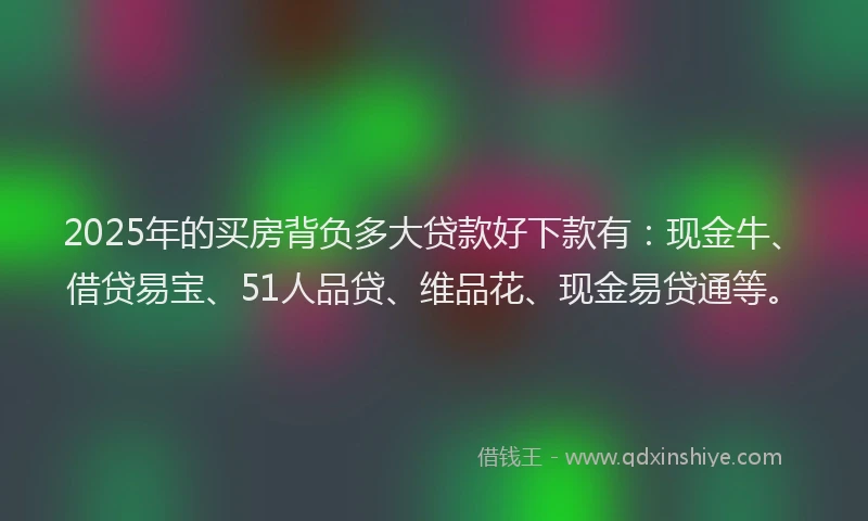 2025年的买房背负多大贷款好下款有：现金牛、借贷易宝、51人品贷、维品花、现金易贷通等。