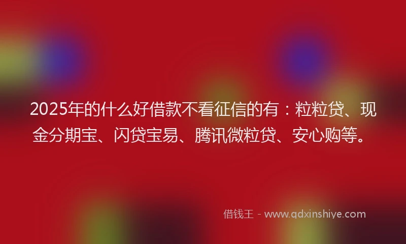 2025年的什么好借款不看征信的有：粒粒贷、现金分期宝、闪贷宝易、腾讯微粒贷、安心购等。