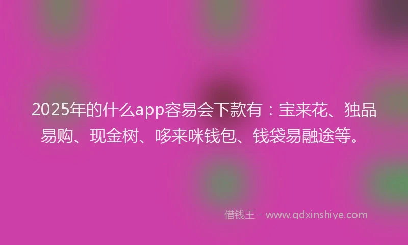 2025年的什么app容易会下款有：宝来花、独品易购、现金树、哆来咪钱包、钱袋易融途等。