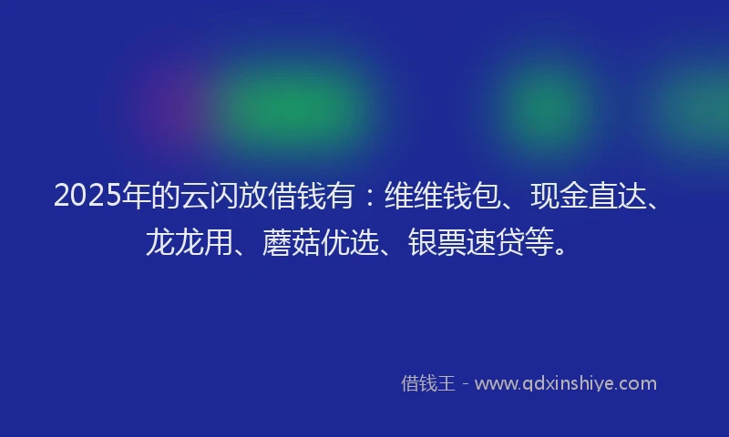 2025年的云闪放借钱有：维维钱包、现金直达、龙龙用、蘑菇优选、银票速贷等。