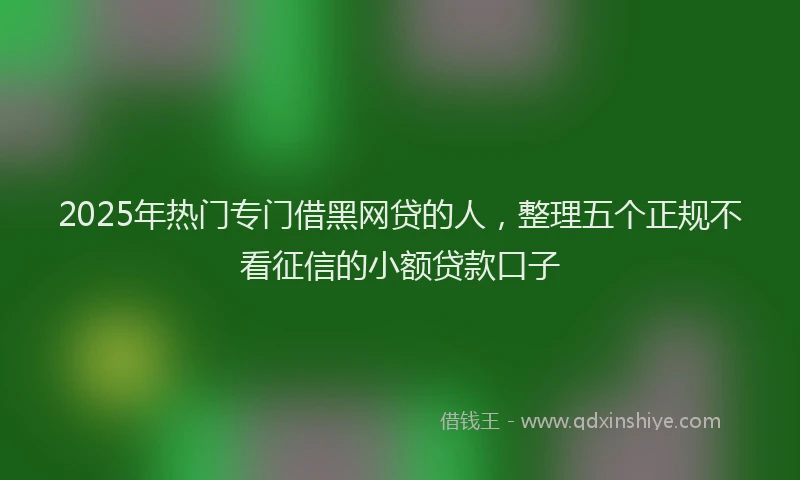 2025年热门专门借黑网贷的人，整理五个正规不看征信的小额贷款口子