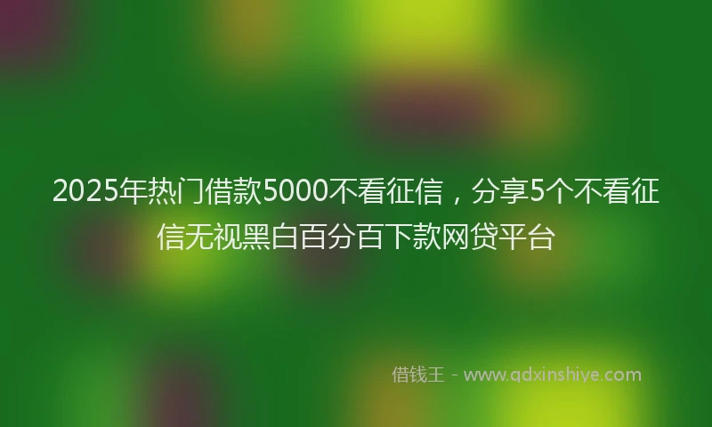2025年热门借款5000不看征信，分享5个不看征信无视黑白百分百下款网贷平台