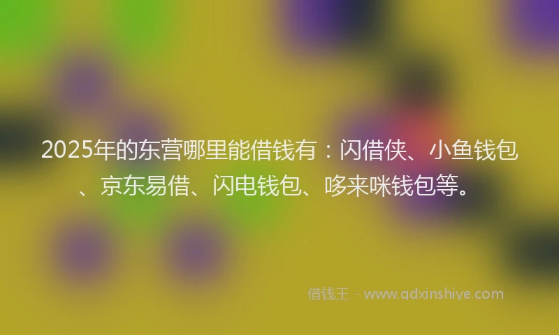 2025年的东营哪里能借钱有：闪借侠、小鱼钱包、京东易借、闪电钱包、哆来咪钱包等。