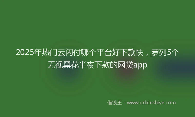 2025年热门云闪付哪个平台好下款快，罗列5个无视黑花半夜下款的网贷app