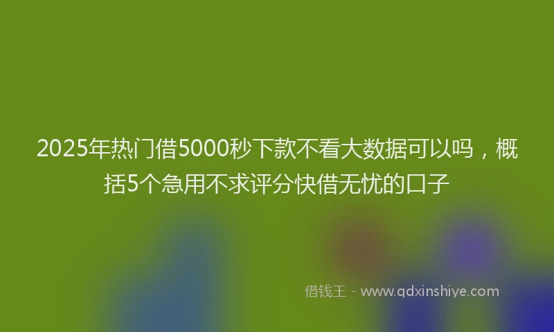 2025年热门借5000秒下款不看大数据可以吗，概括5个急用不求评分快借无忧的口子