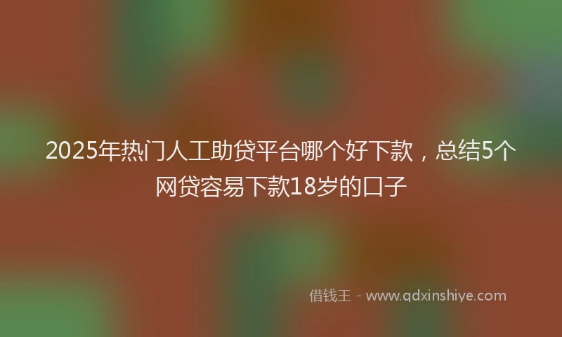 2025年热门人工助贷平台哪个好下款，总结5个网贷容易下款18岁的口子