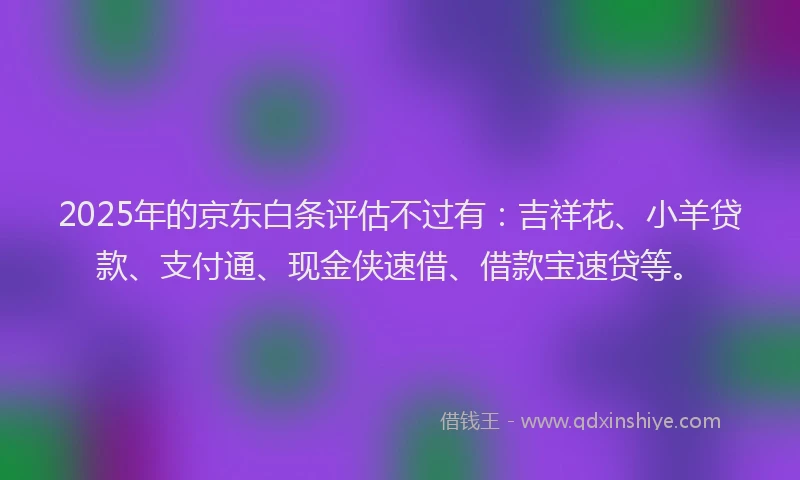 2025年的京东白条评估不过有：吉祥花、小羊贷款、支付通、现金侠速借、借款宝速贷等。
