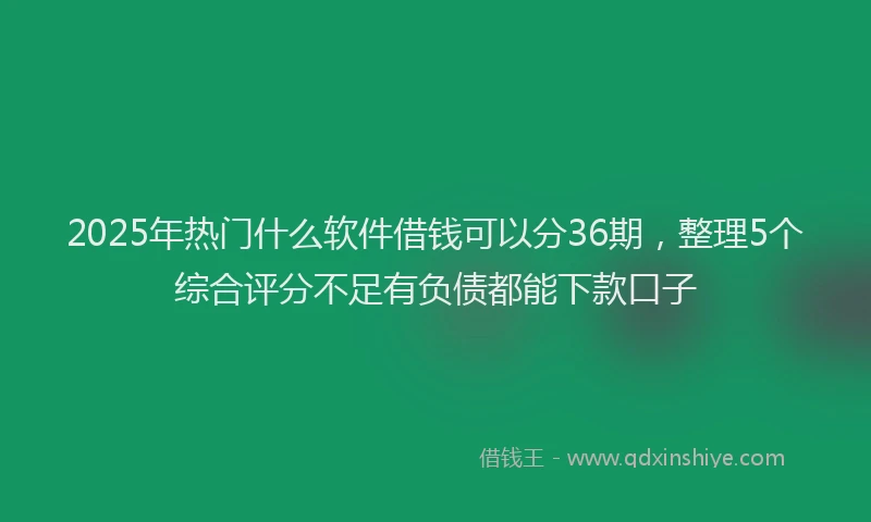 2025年热门什么软件借钱可以分36期，整理5个综合评分不足有负债都能下款口子