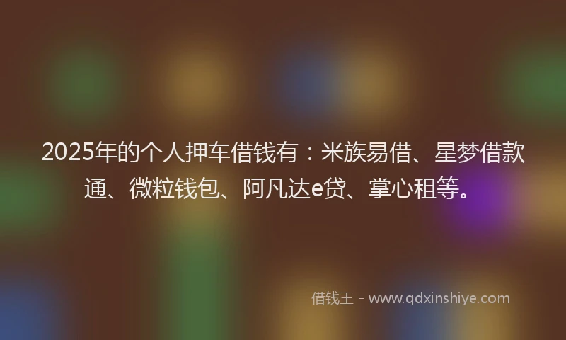 2025年的个人押车借钱有：米族易借、星梦借款通、微粒钱包、阿凡达e贷、掌心租等。