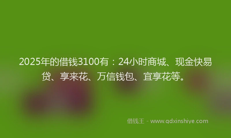 2025年的借钱3100有：24小时商城、现金快易贷、享来花、万信钱包、宜享花等。