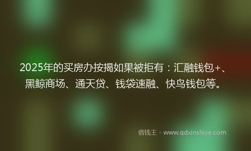 2025年的买房办按揭如果被拒有：汇融钱包+、黑鲸商场、通天贷、钱袋速融、快鸟钱包等。