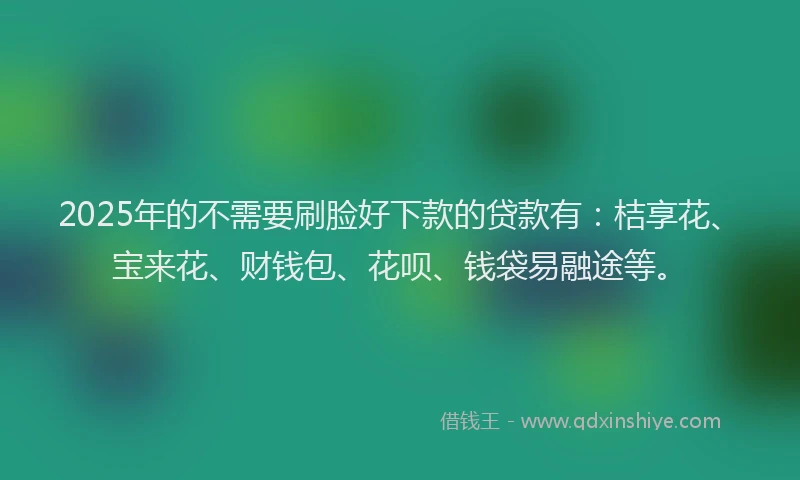 2025年的不需要刷脸好下款的贷款有：桔享花、宝来花、财钱包、花呗、钱袋易融途等。