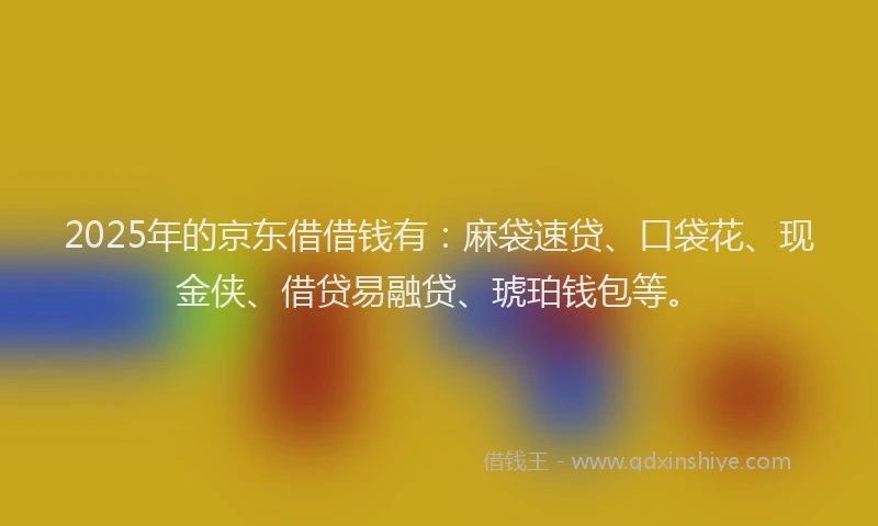 2025年的京东借借钱有：麻袋速贷、口袋花、现金侠、借贷易融贷、琥珀钱包等。