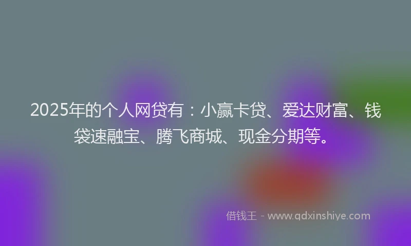2025年的个人网贷有：小赢卡贷、爱达财富、钱袋速融宝、腾飞商城、现金分期等。