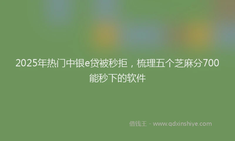 2025年热门中银e贷被秒拒，梳理五个芝麻分700能秒下的软件