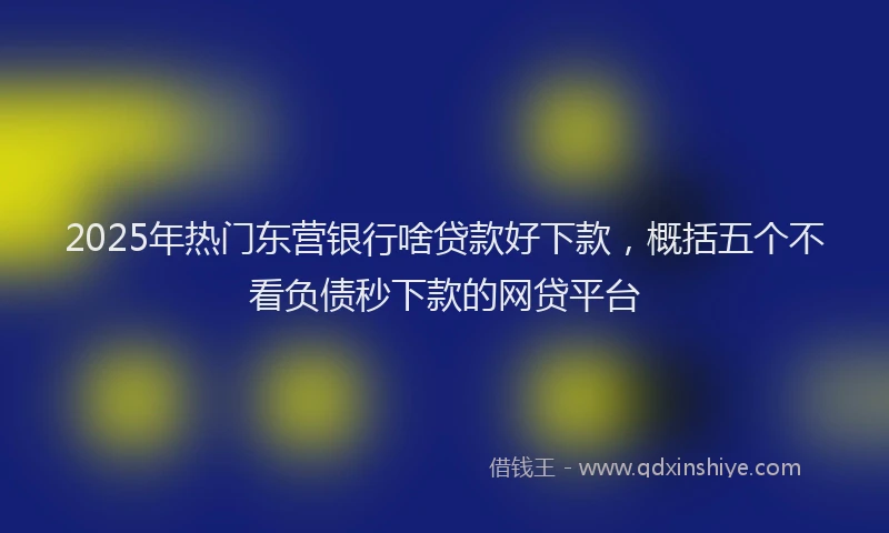 2025年热门东营银行啥贷款好下款，概括五个不看负债秒下款的网贷平台