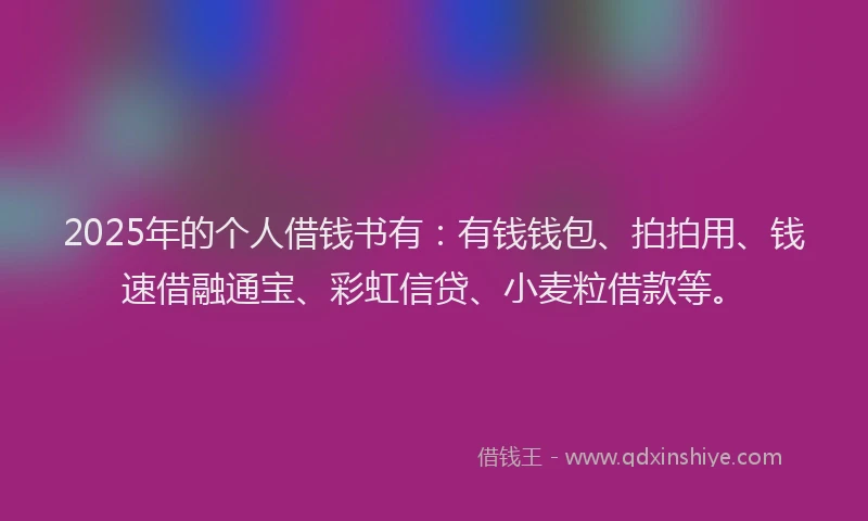 2025年的个人借钱书有：有钱钱包、拍拍用、钱速借融通宝、彩虹信贷、小麦粒借款等。