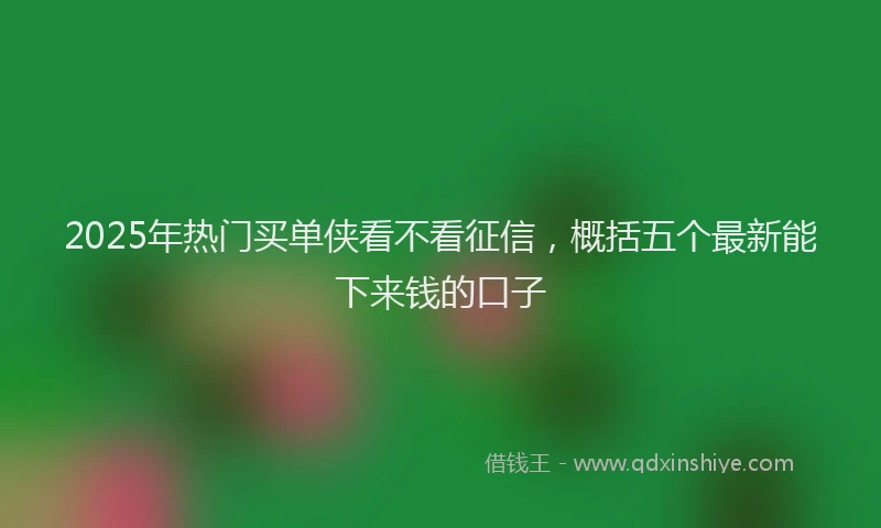2025年热门买单侠看不看征信，概括五个最新能下来钱的口子