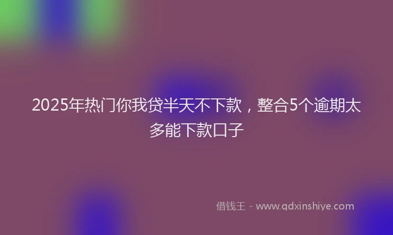 2025年热门你我贷半天不下款，整合5个逾期太多能下款口子