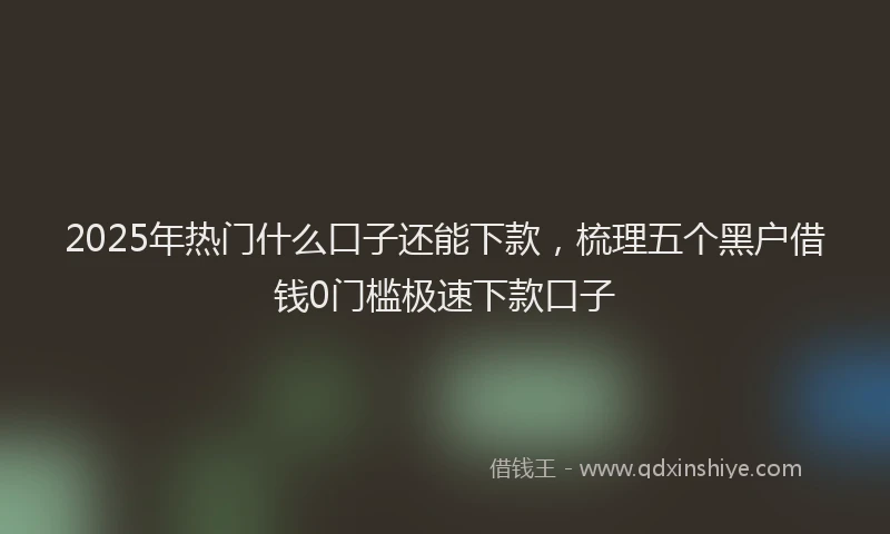 2025年热门什么口子还能下款，梳理五个黑户借钱0门槛极速下款口子