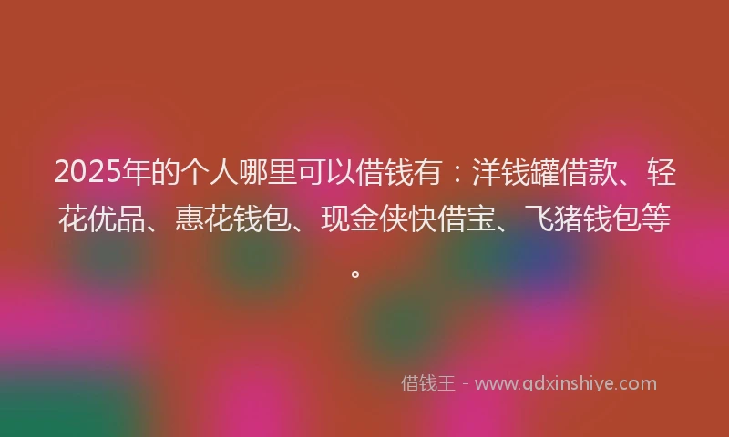 2025年的个人哪里可以借钱有：洋钱罐借款、轻花优品、惠花钱包、现金侠快借宝、飞猪钱包等。