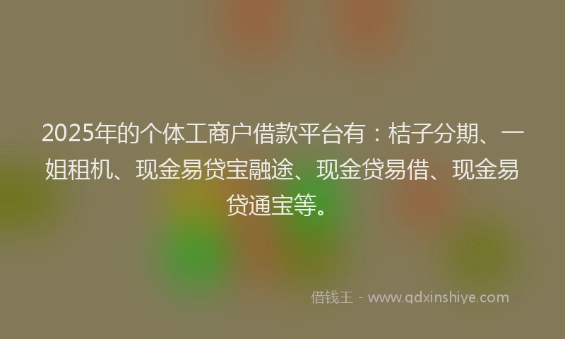 2025年的个体工商户借款平台有：桔子分期、一姐租机、现金易贷宝融途、现金贷易借、现金易贷通宝等。