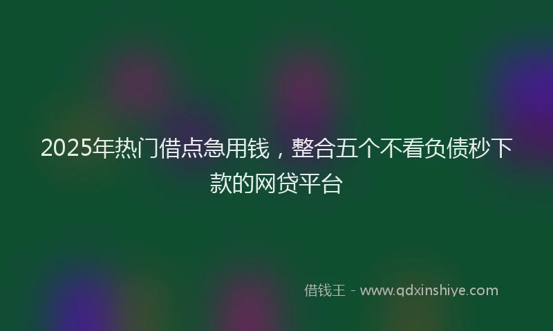 2025年热门借点急用钱，整合五个不看负债秒下款的网贷平台