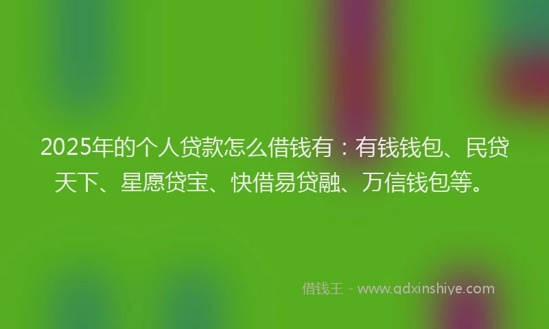 2025年的个人贷款怎么借钱有：有钱钱包、民贷天下、星愿贷宝、快借易贷融、万信钱包等。