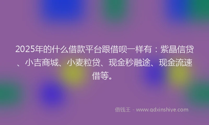 2025年的什么借款平台跟借呗一样有：紫晶信贷、小吉商城、小麦粒贷、现金秒融途、现金流速借等。