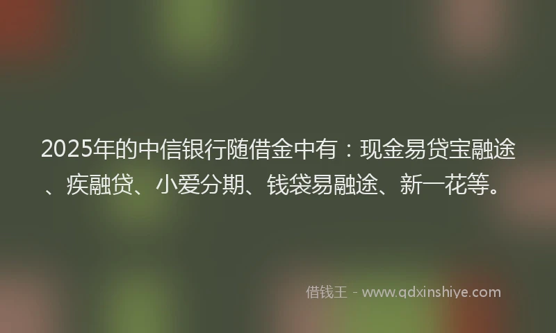 2025年的中信银行随借金中有：现金易贷宝融途、疾融贷、小爱分期、钱袋易融途、新一花等。