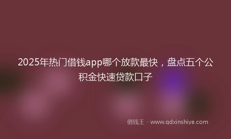2025年热门借钱app哪个放款最快，盘点五个公积金快速贷款口子