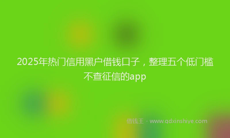 2025年热门信用黑户借钱口子，整理五个低门槛不查征信的app